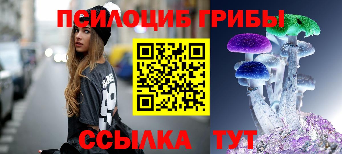Керчь  Галлюциногенные грибы мухоморы  даркнет сайт  Вход с VPN 